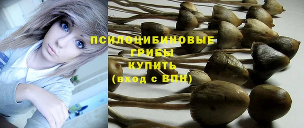 бутират Арсеньев