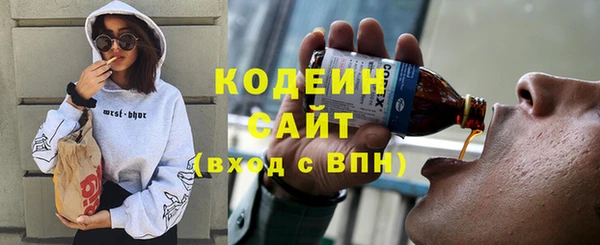 гидра Богородицк