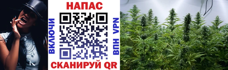 Канабис Amnesia  Шадринск 
